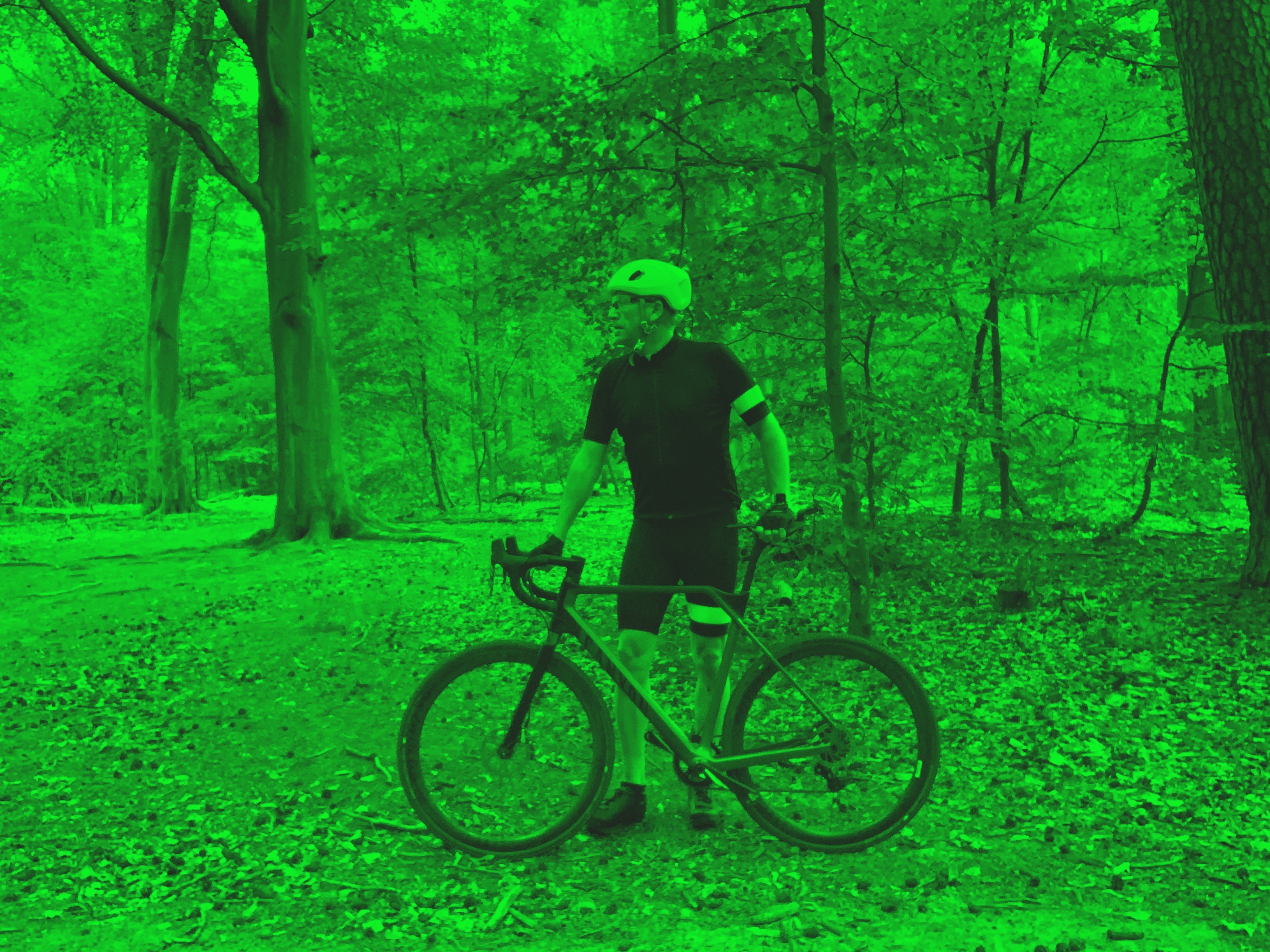 Wald, Rad, Rennrad, Canyon,